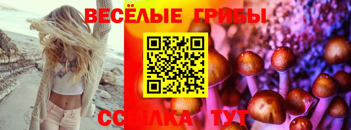 Оренбург  Галлюциногенные грибы Psilocybine cubensis  Псилоцибиновые грибы мицелий  Вход с VPN 